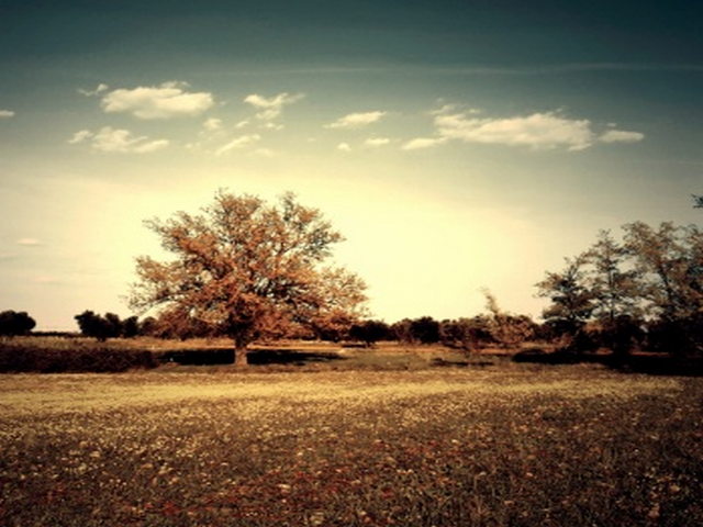 阿琼南宗寺 阿琼南宗寺