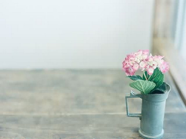 台湾昆虫科学博物馆