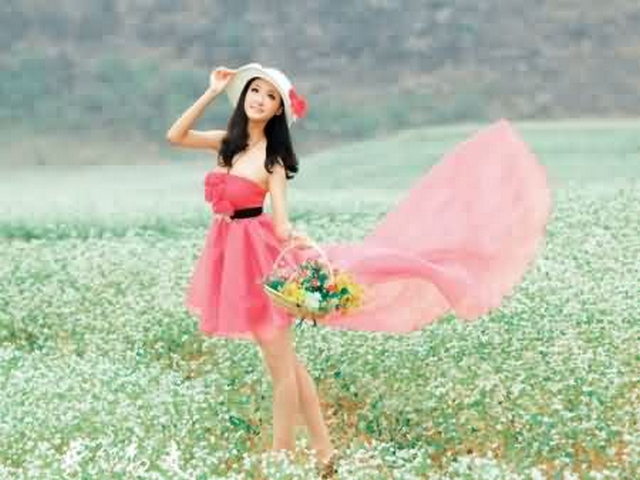 湟源大黑沟森林公园