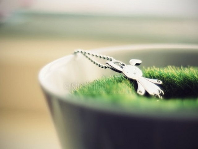 黄河走廊水利风景区