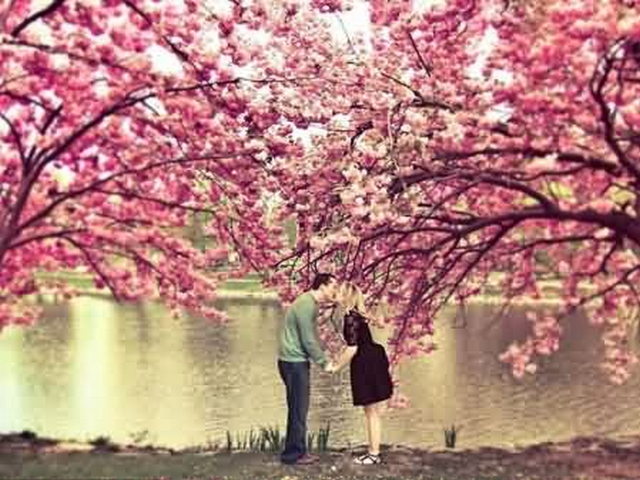 奴布林村 奴布林村