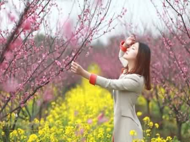 南宁顶蛳山遗址 南宁顶蛳山遗址