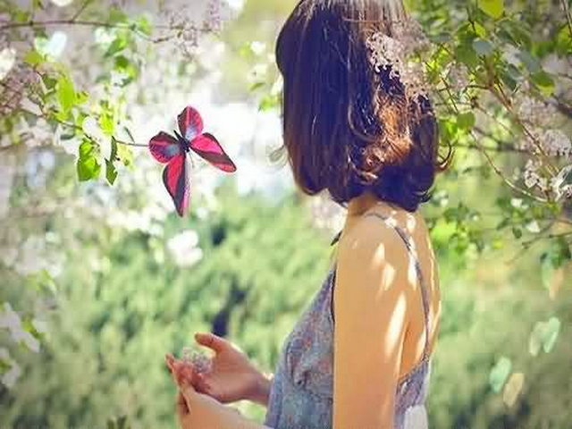 高德古镇 高德古镇