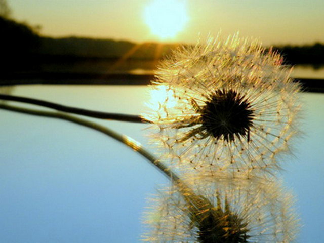 千鸟湖旅游风景区 千鸟湖旅游风景区