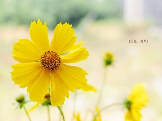 色日克托格拉克墓群 色日克托格拉克墓群