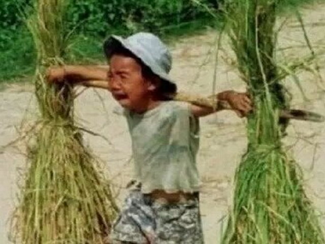 楼兰墓群 楼兰墓群