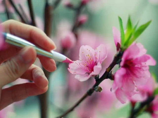 黄河军事文化博览园 黄河军事文化博览园