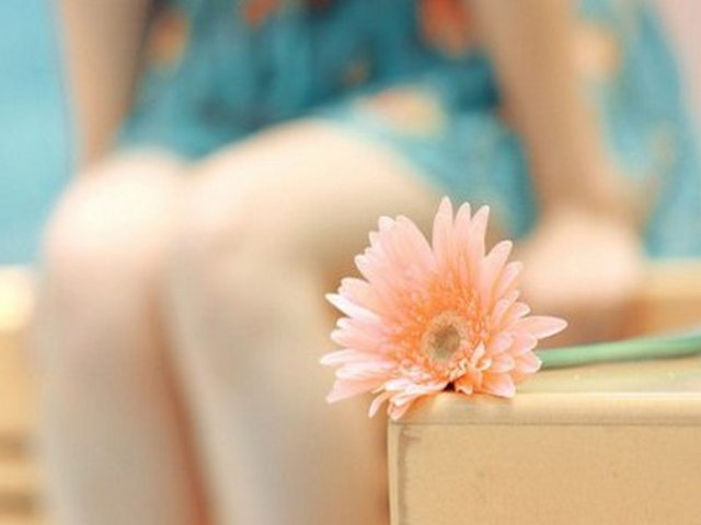 年钦夏格日山 年钦夏格日山