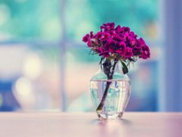 布尔智草原 布尔智草原