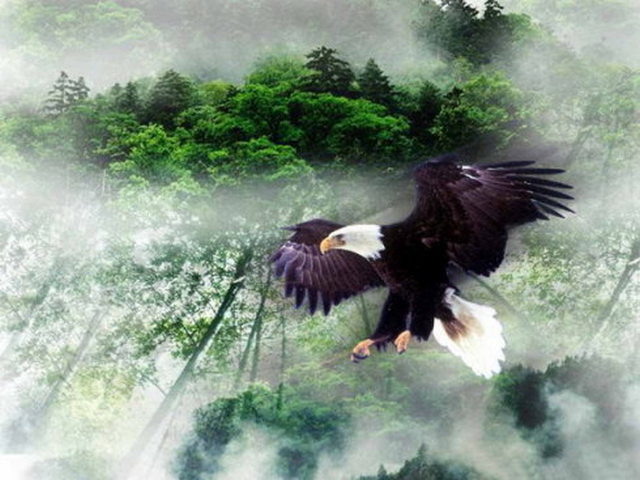 石门沟栈道与摩崖石刻 石门沟栈道与摩崖石刻