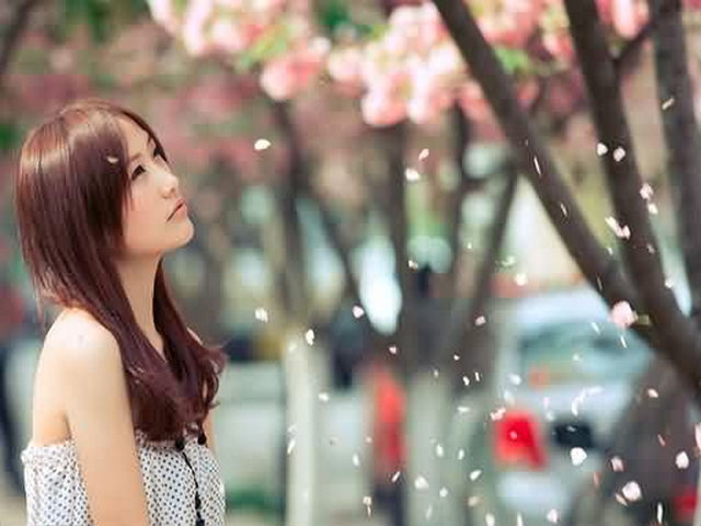 碧海休闲山庄 碧海休闲山庄