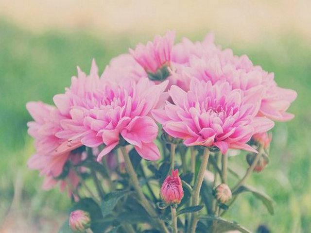 徐汉林烈士陵园