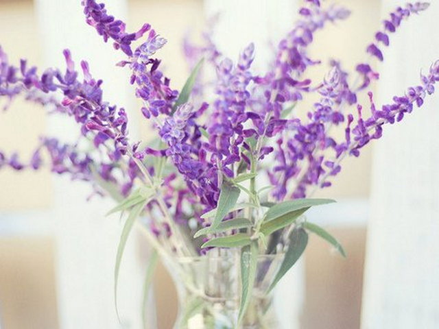 澳门葡萄酒博物馆