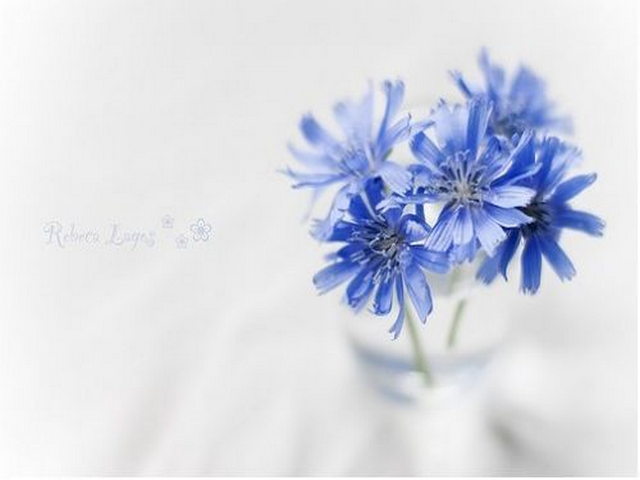 唐蕃古道 唐蕃古道