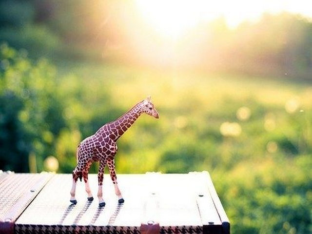 邓缵先纪念馆 邓缵先纪念馆