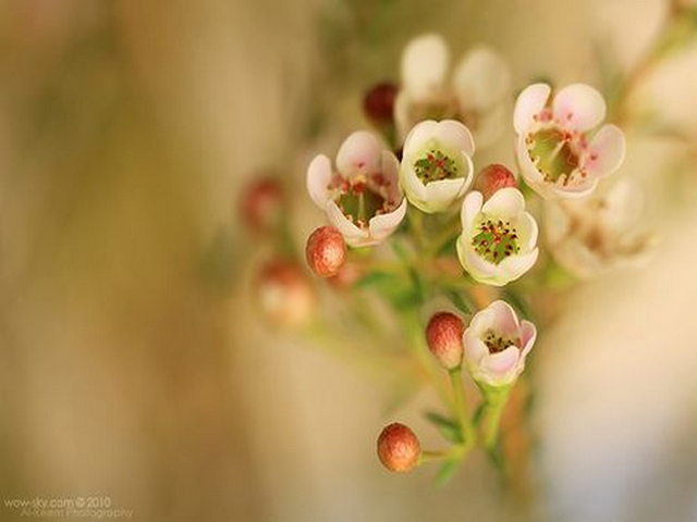 门当和得乌穷摩崖石刻艺术 门当和得乌穷摩崖石刻艺术