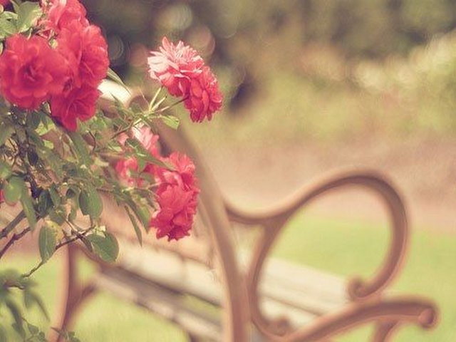 古丝路南道 古丝路南道