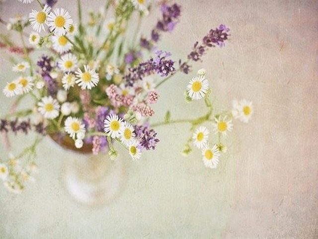 阳关沙漠森林公园