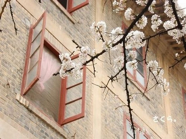 龟兹古城遗址 龟兹古城遗址