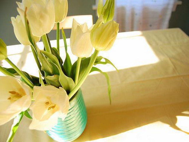 大庙城城址 大庙城城址