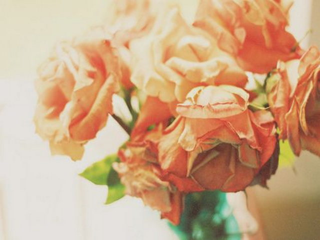 关岭化石群国家地质公园 关岭化石群国家地质公园