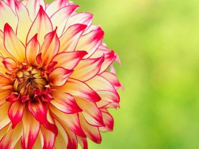 郭拉则松峰 郭拉则松峰