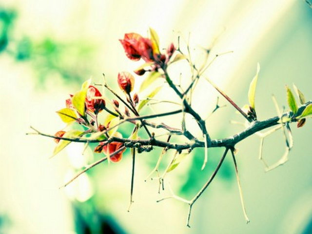 皇城风景区 皇城风景区