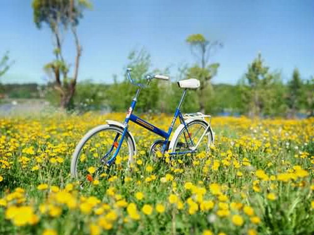 吐拉戍堡遗址 吐拉戍堡遗址