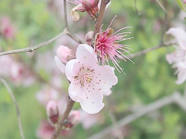 神山圣湖景区 神山圣湖景区