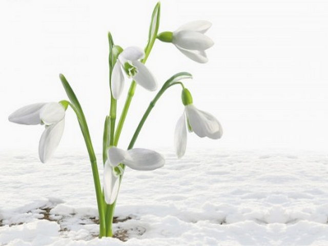 柳湾彩陶博物馆