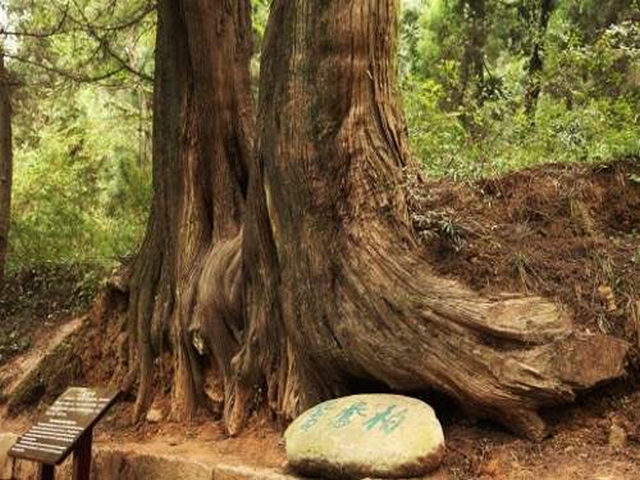 天山北坡头屯河国家湿地公园 天山北坡头屯河国家湿地公园