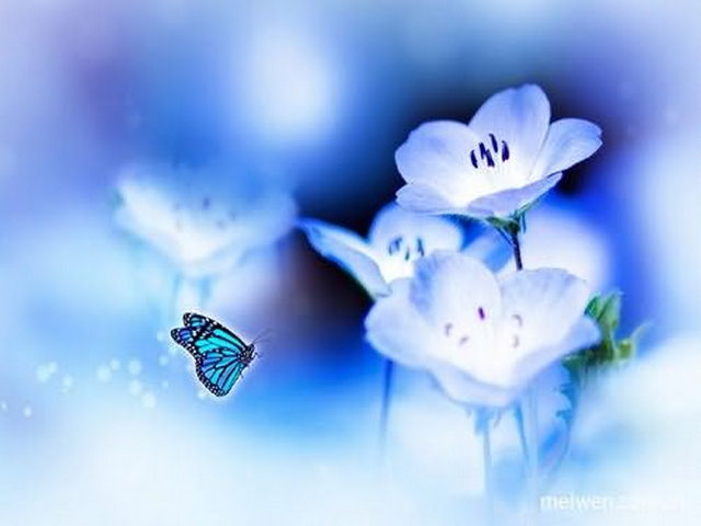 新疆拉里昆国家湿地公园