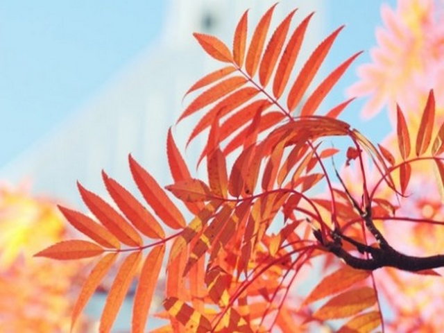 互助嘉定国家地质公园 互助嘉定国家地质公园