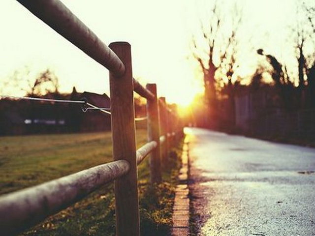 台藏塔遗址 台藏塔遗址