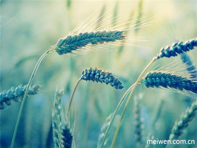 马三家瀑布 马三家瀑布