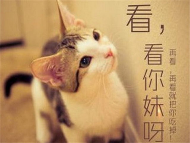 直达布日寺 直达布日寺