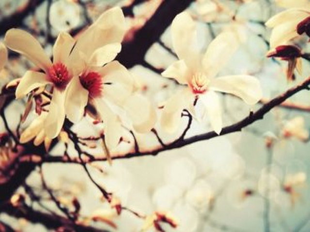 扎木镇岗村 扎木镇岗村