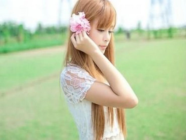 10公里防风护沙白杨绿色遂道 10公里防风护沙白杨绿色遂道