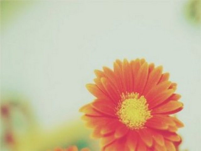 帕拉庄园 帕拉庄园