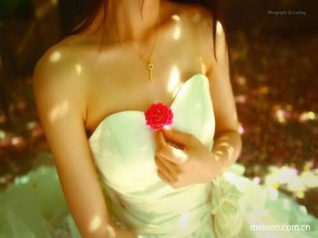 樟木口岸 樟木口岸