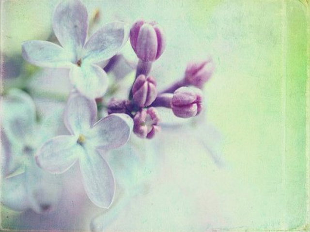 雅鲁藏布大峡谷 雅鲁藏布大峡谷