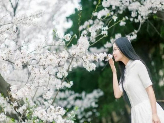 易贡国家地质公园 易贡国家地质公园