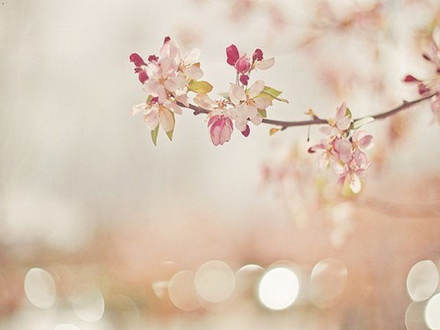 民勤郎福生态文化旅游区 民勤郎福生态文化旅游区