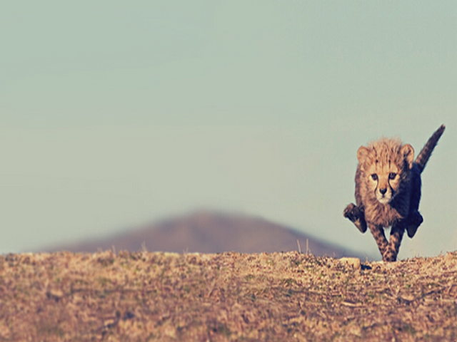 民勤圣容寺 民勤圣容寺