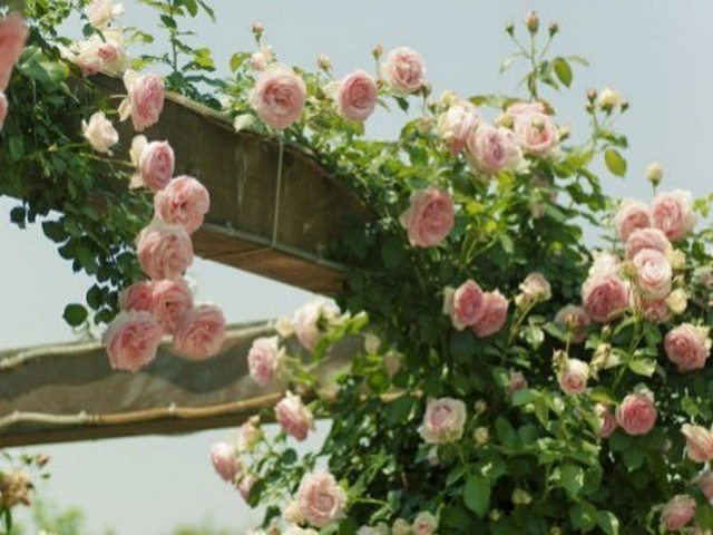 枋寮褒忠亭义民庙