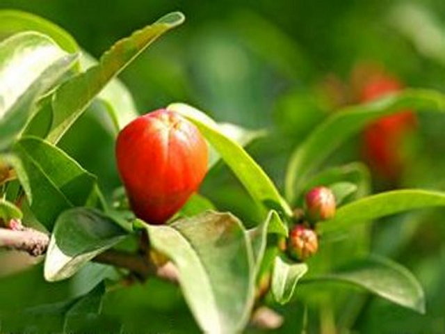 地质矿产博物馆