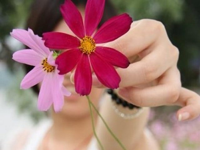 香日德寺 香日德寺