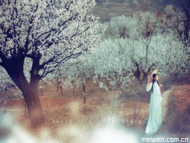 藏娘佛塔 藏娘佛塔