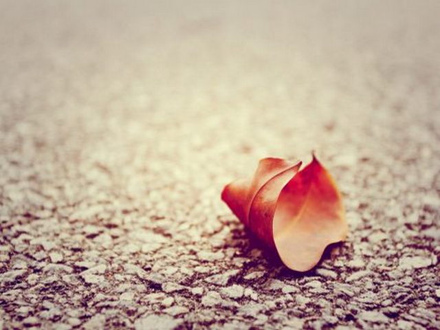 西夏史话塑像馆 西夏史话塑像馆