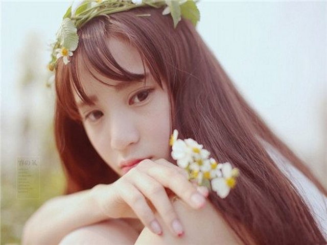 故如甲木墓地 故如甲木墓地